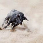 XRP Gains Momentum As Analyst Calls It The Smartest Crypto To Buy