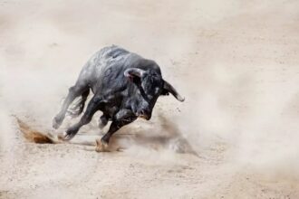 XRP Gains Momentum As Analyst Calls It The Smartest Crypto To Buy