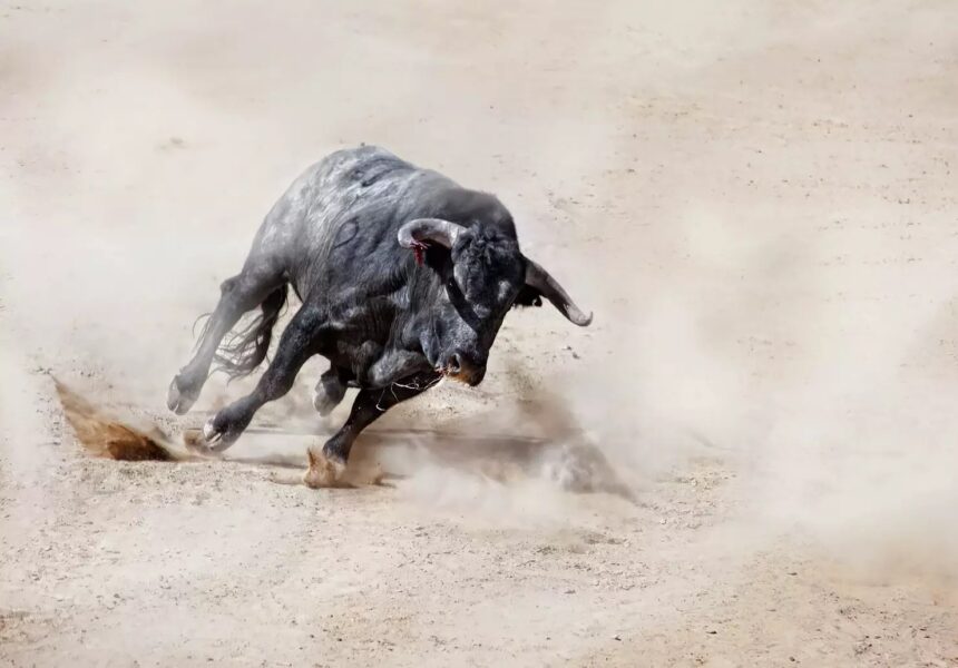 XRP Gains Momentum As Analyst Calls It The Smartest Crypto To Buy